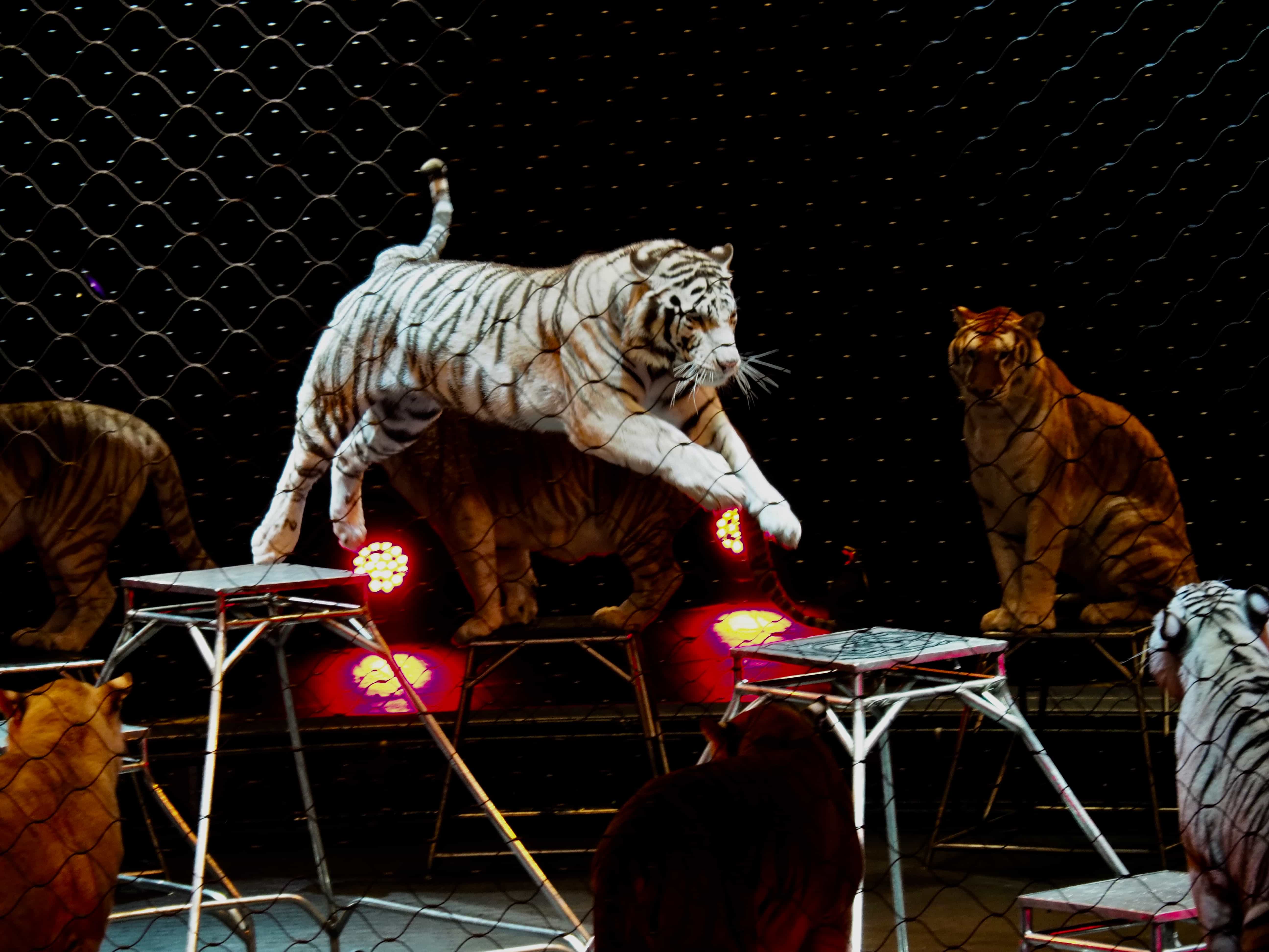 Jim Thorpe Poconos Event Photographer